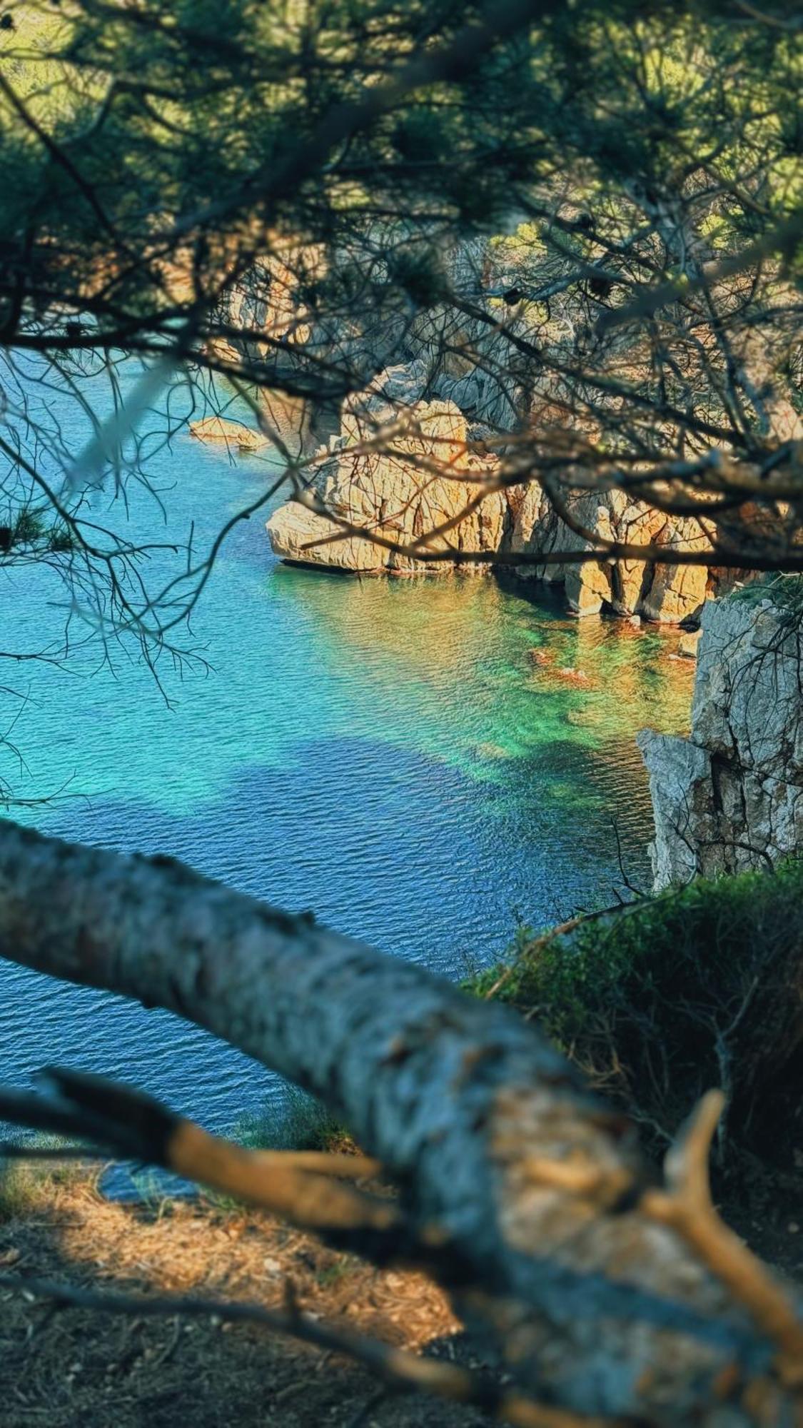 Can Romy Appartement T1 C - A 80M De La Plage De Cala Montgo L' Escala 외부 사진